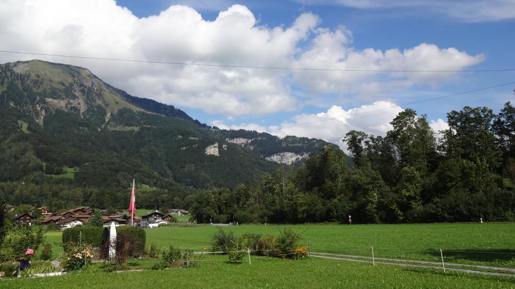 Seeli Hofstetten bei Brienz Стая снимка