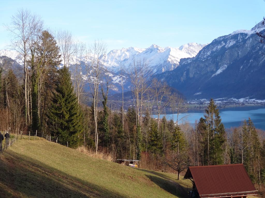 Seeli Hofstetten bei Brienz Стая снимка