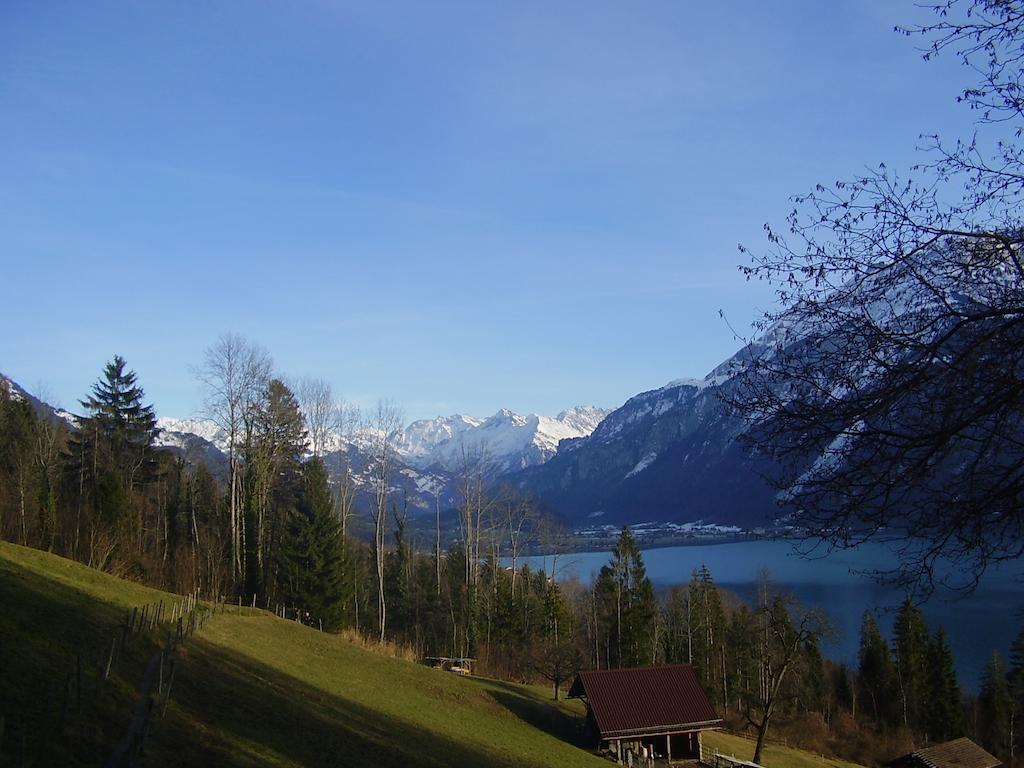 Seeli Hofstetten bei Brienz Стая снимка